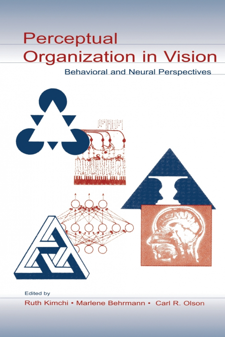 Perceptual Organization in Vision