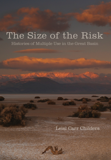 Size of the Risk