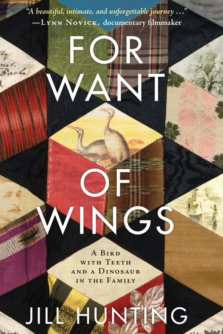 For Want of Wings