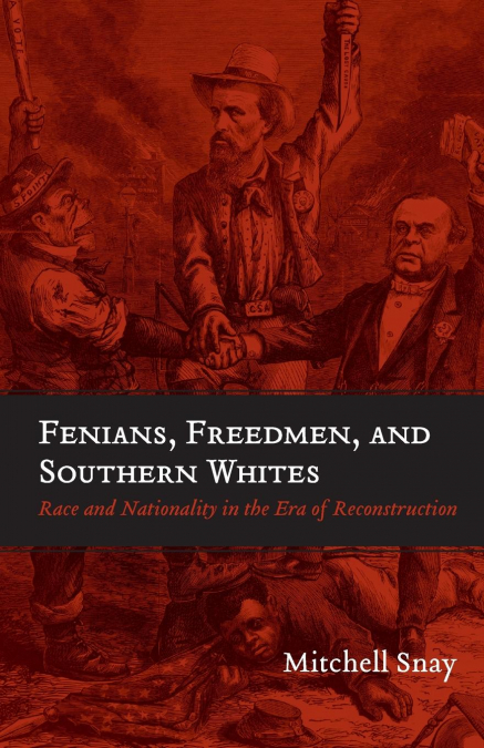 Fenians, Freedmen, and Southern Whites
