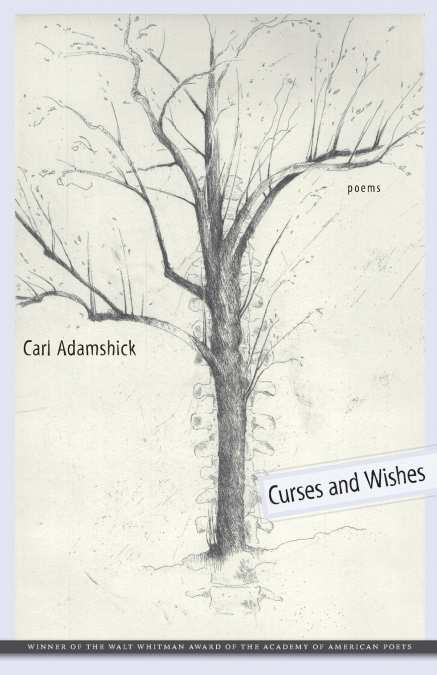 Curses and Wishes