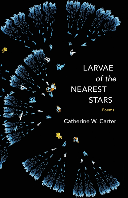 Larvae of the Nearest Stars