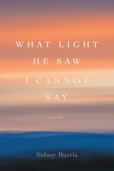 What Light He Saw I Cannot Say
