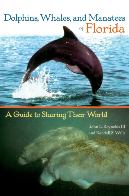 Dolphins, Whales, and Manatees of Florida