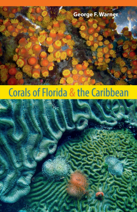Corals of Florida and the Caribbean