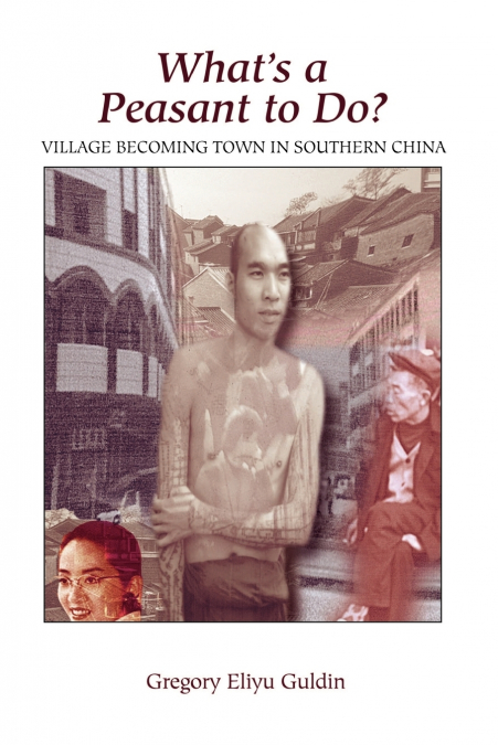 What’s A Peasant To Do? Village Becoming Town In Southern China