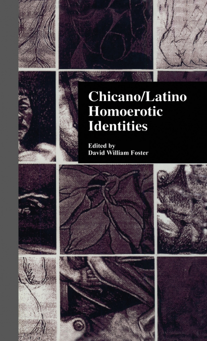 Chicano/Latino Homoerotic Identities