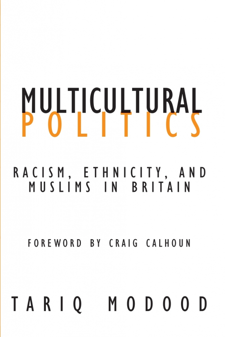 Multicultural Politics