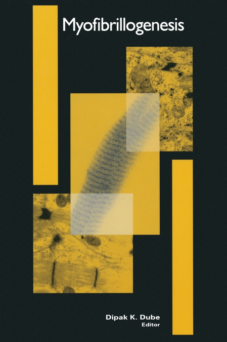 Myofibrillogenesis