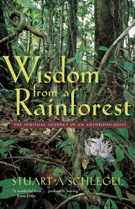 Wisdom from a Rainforest