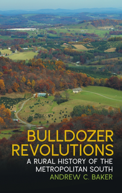 Bulldozer Revolutions