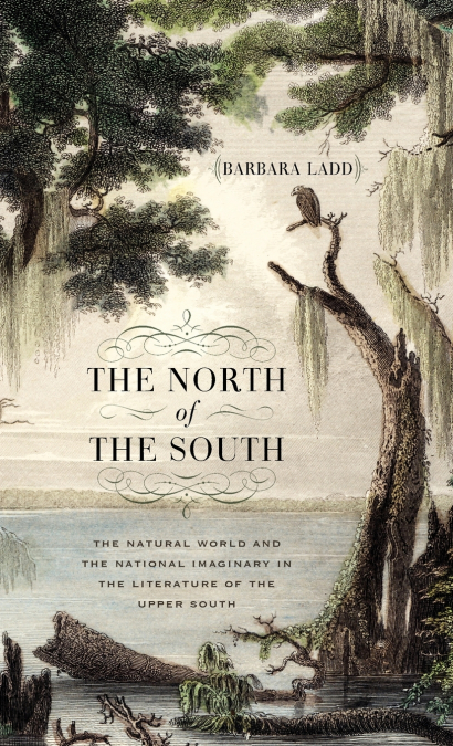 The North of the South