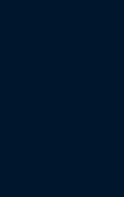 The Large International Firm in Developing Countries