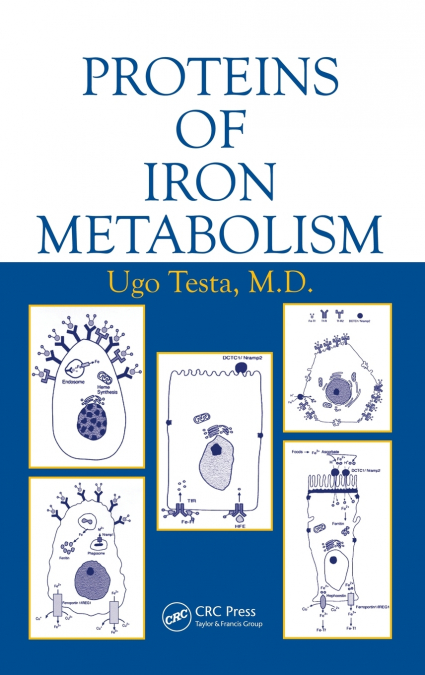 Proteins of Iron Metabolism