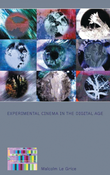 Experimental Cinema in the Digital Age