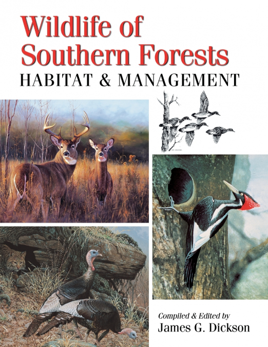 Wildlife of Southern Forests