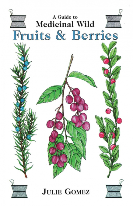 A Guide to Medicinal Wild Fruits & Berries