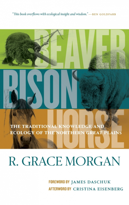 Beaver, Bison, Horse
