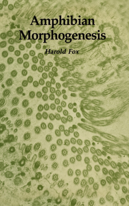 Amphibian Morphogenesis