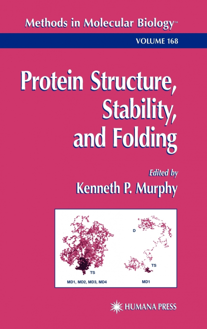 Protein Structure, Stability, and Folding