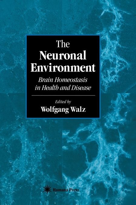 The Neuronal Environment