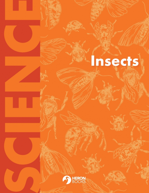 Insects
