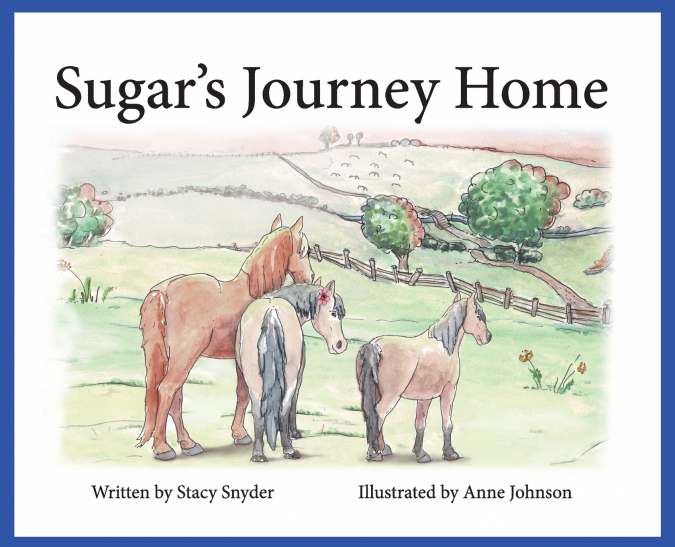 Sugar’s Journey Home