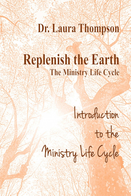 Introduction to the Ministry Life Cycle