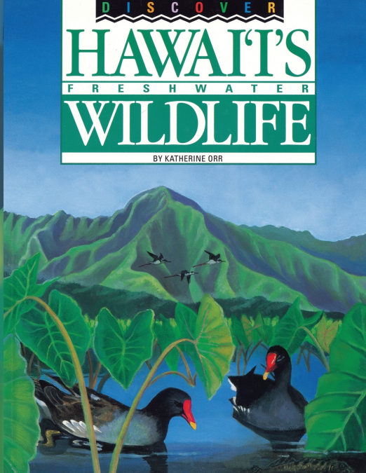 Discover Hawaii’s Freshwater Wildlife