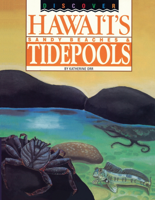 Discover Hawaii’s Sandy Beaches and Tidepools