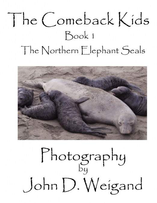 'The Comeback Kids'  Book 1, The Northern Elephant Seals