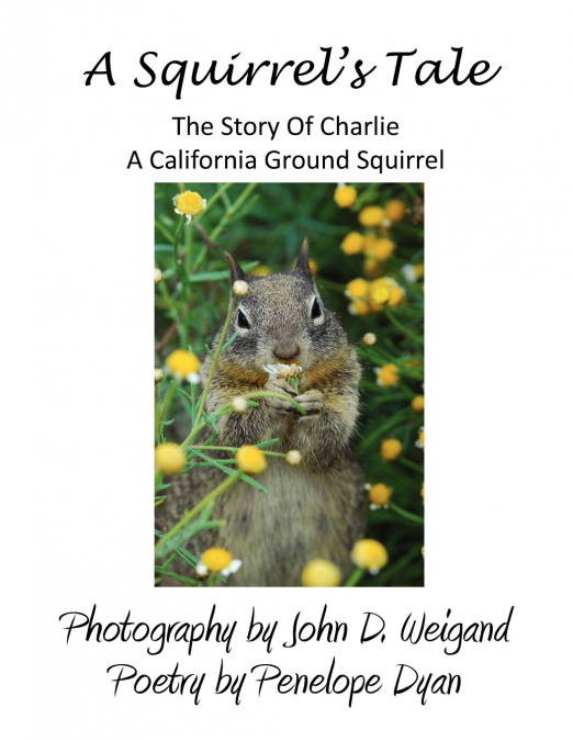 A Squirrel’s tale, The Story Of Charlie, A California Ground Squirrel