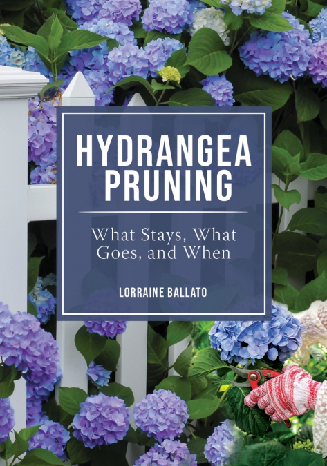 HYDRANGEA PRUNING