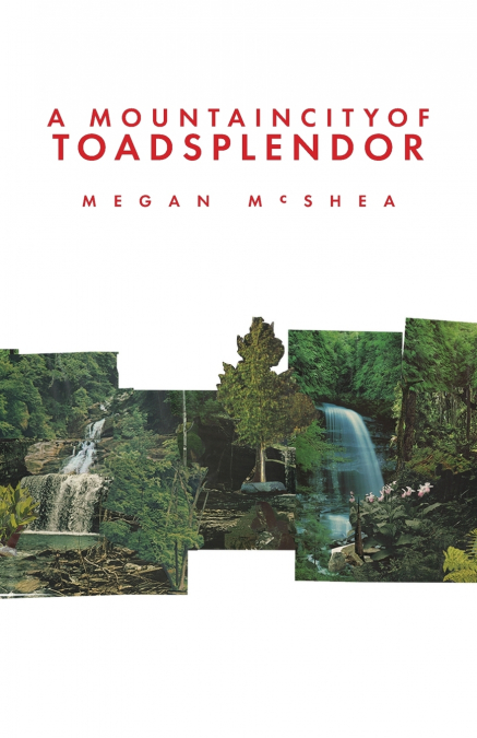 A Mountain City of Toad Splendor