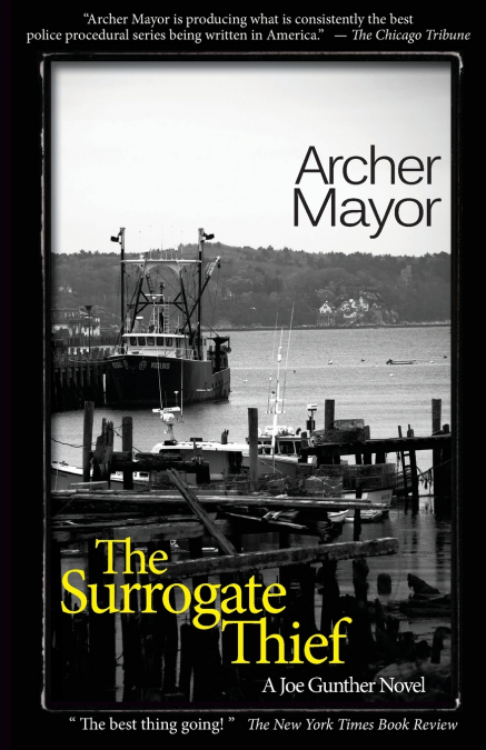 The Surrogate Thief