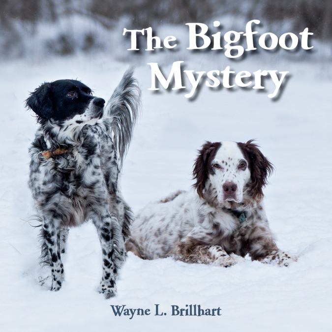 The Bigfoot Mystery