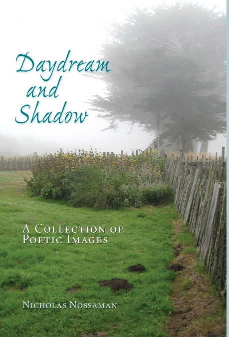Daydream and Shadow