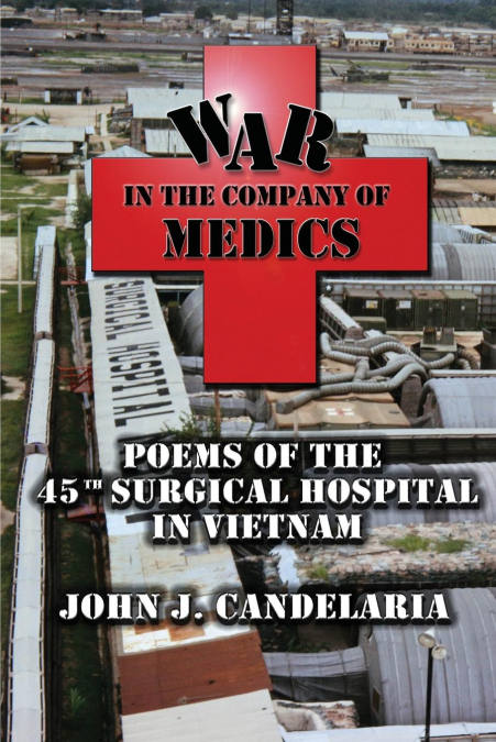War in the Company of Medics