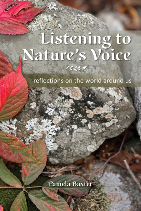 Listening to Nature’s Voice