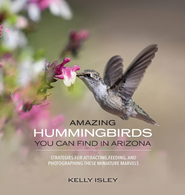 AMAZING HUMMINGBIRDS YOU CAN FIND IN ARIZONA