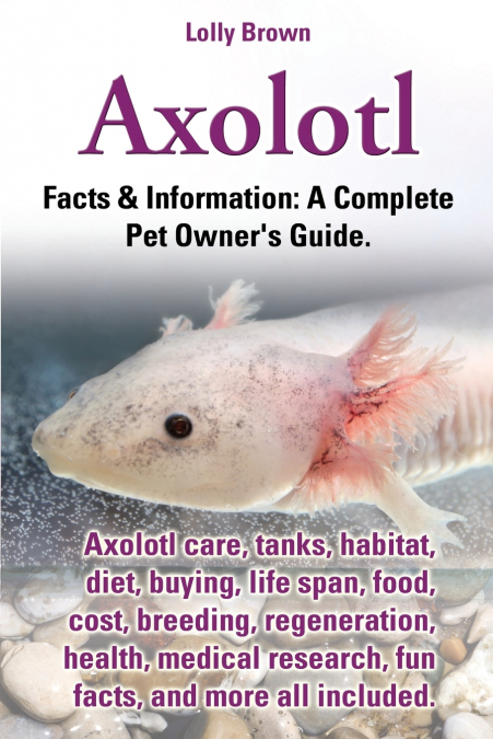 Axolotl. Axolotl Care, Tanks, Habitat, Diet, Buying, Life Span, Food, Cost, Breeding, Regeneration, Health, Medical Research, Fun Facts, and More All
