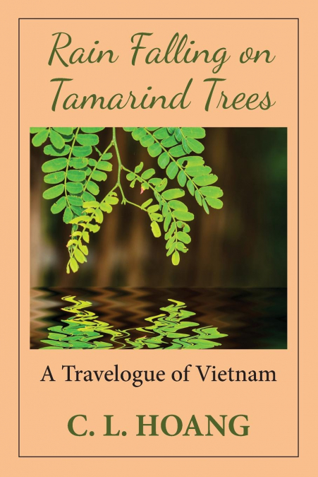 Rain Falling on Tamarind Trees