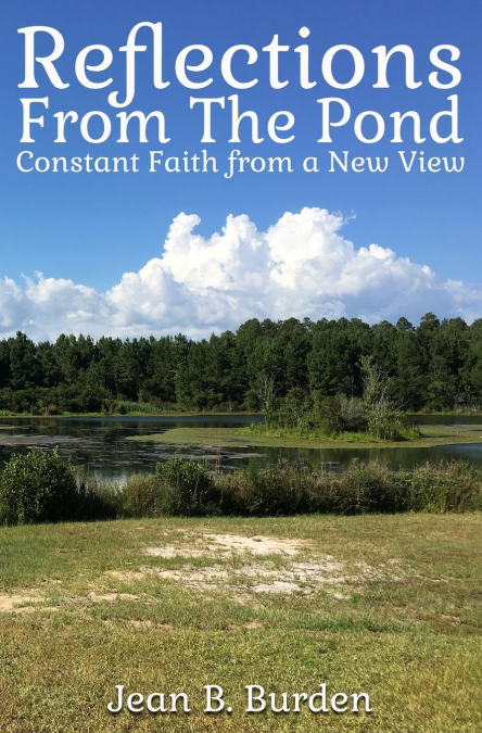 Reflections from the Pond