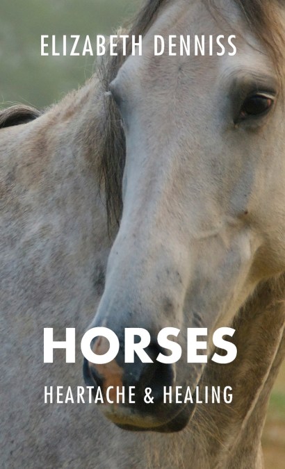 Horses, Heartache & Healing