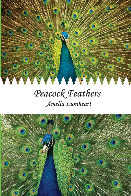 Peacock Feathers