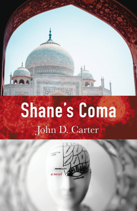 Shane’s Coma