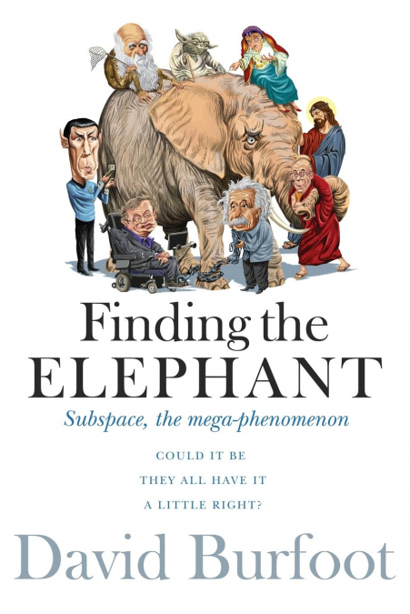 Finding the Elephant