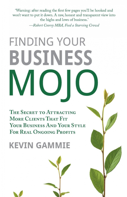 Finding Your Business Mojo
