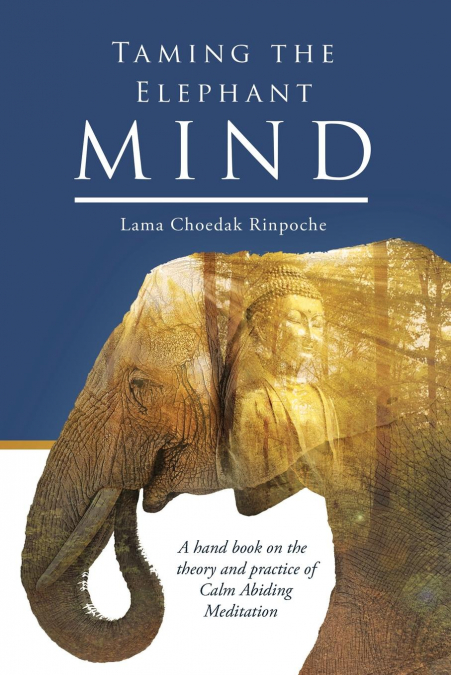 Taming the Elephant Mind
