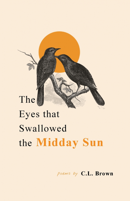 The Eyes That Swallowed the Midday Sun